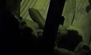 সুন্দরী ডাইরেক্ট চুদা চুদি ভিডিও বালিকা