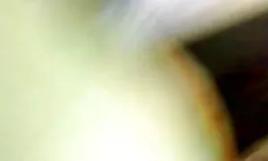 স্বামী ও পশুর চুদাচুদি স্ত্রী, হাতের কাজ,