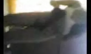 বাড়ীতে ঘোড়ার চুদাচুদি ভিডিও তৈরি