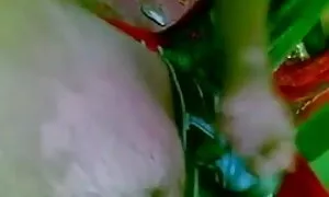 মাই এর, বাংলা মেয়েদের চুদাচুদি ছোট মাই, শ্যামাঙ্গিণী, দুর্দশা