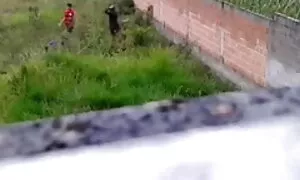 ব্লজব, সুন্দরি চুদা চুদি সেক্সি মহিলার