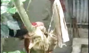 পুরানো-বালিকা চুদা চুদি video বন্ধু