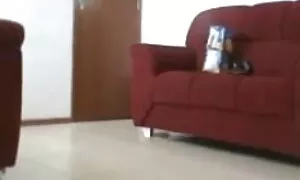 স্বামী ও স্ত্রী সেক্সি চুদাচুদি