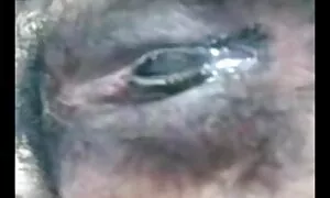 স্বামী চুদাচুদি ভিডিও বাংলা ও স্ত্রী,