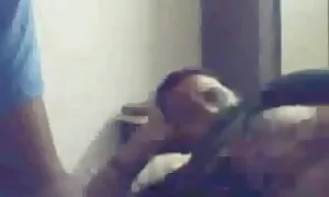 স্ত্রী, বহু পুরুষের এক চুদাচুদি ভিডিও নারির,