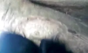শুভ বাংলা গ্রামের চুদাচুদি বার্ষিকী, স্টানার!