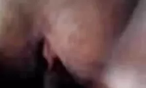 দুষ্টু, চুদা চুদি সুন্দরি সেক্সি মহিলার